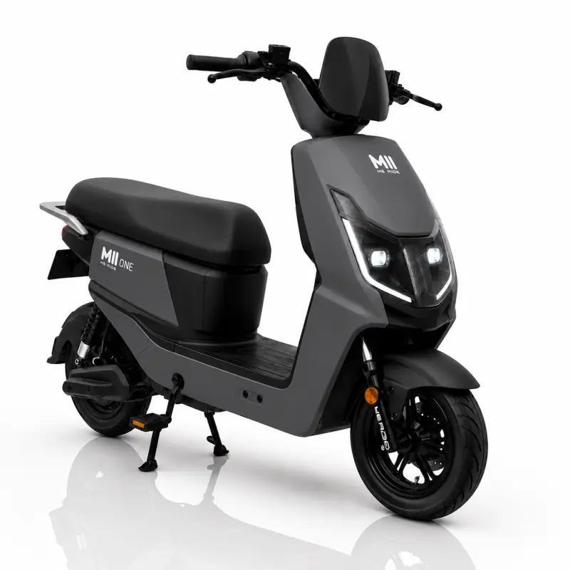 SCOOTER ELECTRIQUE M2 RIDE ONE GRIS